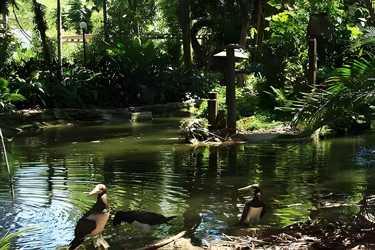 Charmoso com varanda / Ar condicionado / 1 Vaga